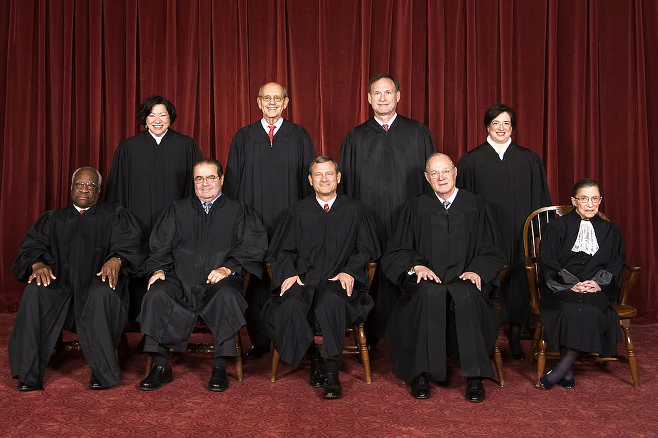 The 2010 Supreme Court Group Picture [Public domain], via Wikimedia Commons